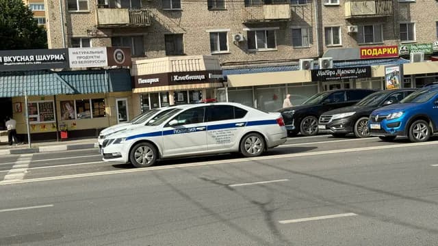 Житель Никольского района пойдет под суд за угрозу убийством дочери топором